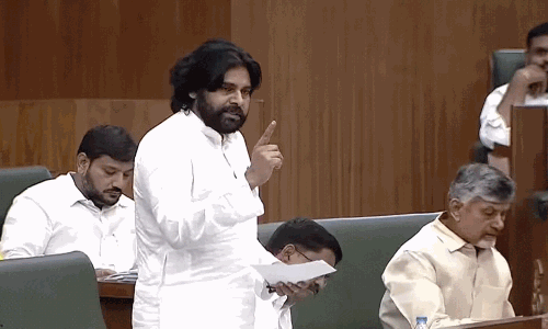 నెయ్యిలో నెయ్యి లేదు.. అసెంబ్లీలో పవన్ పవర్ ఫుల్ స్పీచ్