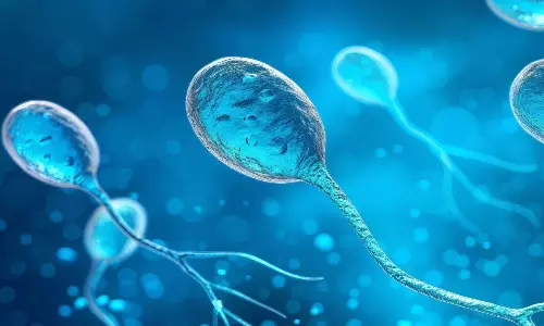 స్పెర్మ్ క్వాలిటీ పై ఆసక్తికర రిపోర్ట్: వేసవి అపోహలకే చెక్!
