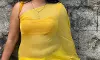 South Actress Poonam Bajwa Wows Fans in Sheer Yellow Saree