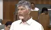 రప్పా.. రప్పా.. ఏంటి అధ్యక్షా.. అసెంబ్లీలో చంద్రబాబు కీలక వ్యాఖ్యలు