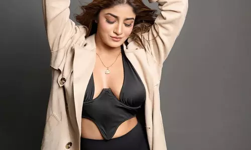 Dimple Hayathi: The Actress Winning Hearts with Every Film