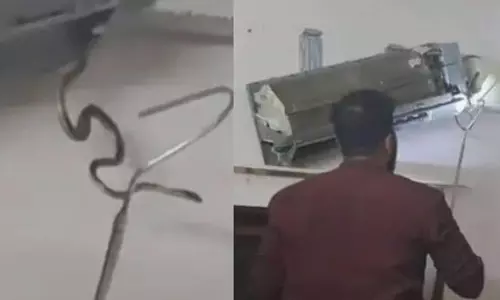 విన్నంతనే ఉలికిపాటు గ్యారెంటీ.. బెడ్రూం ఏసీలో ఐదు పాములు