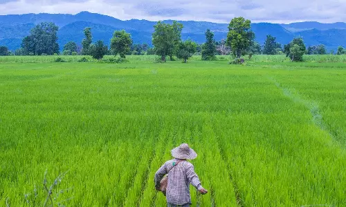 లక్ష కోట్ల ఎగుమతులపై యుద్ధం దెబ్బ: తెలుగు రైతన్నలకూ తప్పని తిప్పలు!