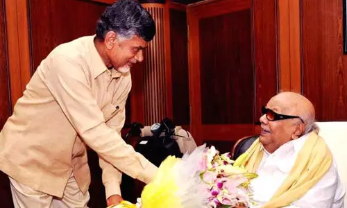 బాబుకు కరుణానిధితోనే కరెక్ట్ పోలిక