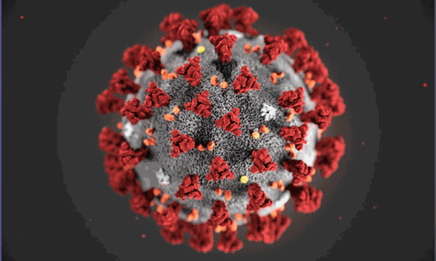 మహమ్మారికి ఆరేళ్లు: ప్రపంచాన్ని వణికించిన కరోనా.. ఆ చేదు జ్ఞాపకాలు ఎప్పటికీ చెరగనివే!