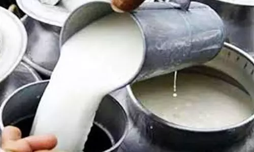 పాలు కల్తీ తెలుసుకోవడం ఎలా? రాజమండ్రి ఇష్యుతో ఫుడ్ సేఫ్టీ పై స్పెషల్ డ్రైవ్