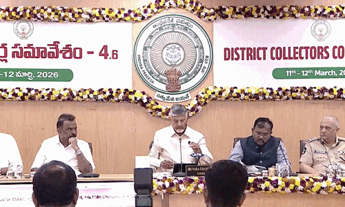 కలెక్టర్లు గ్రామాలకు వెళ్ళాల్సిందే... బాబు దిశా నిర్దేశం