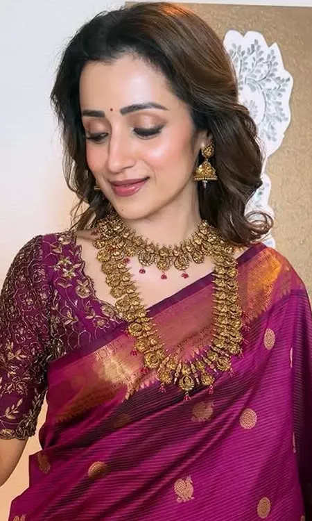 Trisha Krishnan Shares Beautiful Saree Photos