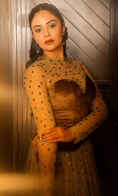 Sreemukhi Stuns in Golden-Brown Ethnic Look