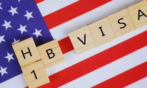 Donald Trump Effect: H1B Visa Count Drops 50%!