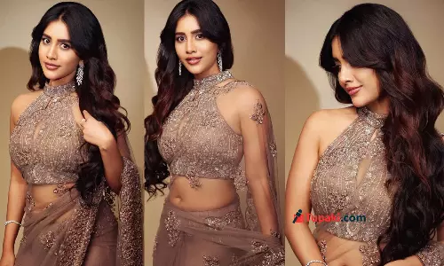 స్టన్నింగ్ స్టైల్ లో నభా నటేష్.. పలుచని చీరలో గ్లామర్ ట్రీట్!