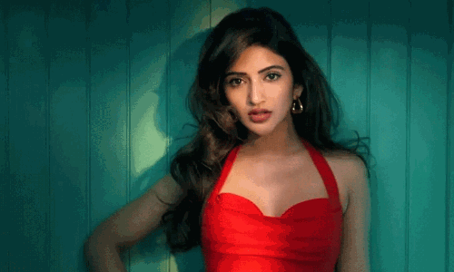 బాలీవుడ్ ఎంట్రీతో శ్రీలీలకి బ్రేక్ దొరుకుతుందా?