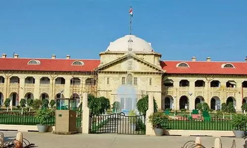 వివాహం జరిగినా.. మరో వ్యక్తితో కలిసి జీవించడం నేరమా? అలహాబాద్ హైకోర్టు సంచలన వ్యాఖ్యలు..