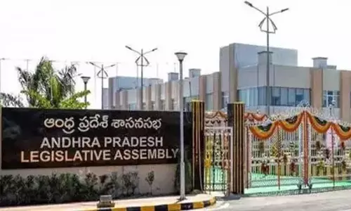 మండలిలో చర్చ లేదు...అసెంబ్లీ తీర్మానం ఓకేనా ?