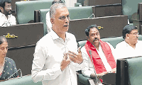 సభలో కాంగ్రెస్ మంత్రుల్ని ఆట ఆడుకున్నహరీశ్