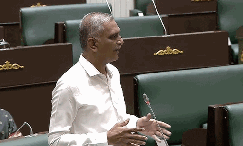 కొంప ముంచావు హరీశా.. గులాబీ నేతల అక్రోశం?