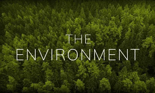 ప‌ర్యావ‌ర‌ణంపై స్క్రిప్టు రాస్తే పాన్ వ‌ర‌ల్డ్‌లో ఆకాశ‌మే హ‌ద్దు