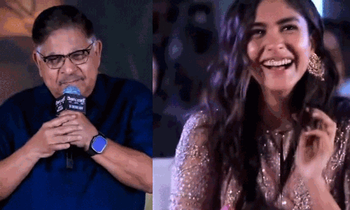 మృణాల్ తెలుగు హీరోనే పెళ్లి చేసుకోవాలా? అల్లు బాస్ క్రేజీ కామెంట్స్