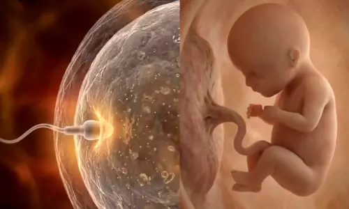 వీర్యకణం నుంచి పిండం వరకూ.. అద్భుత విజువల్స్