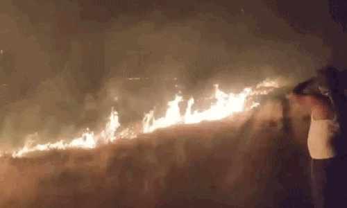 జేసీ దివాకర్ రెడ్డి చింతతోటకు నిప్పు.. ఎవరు చేశారు?