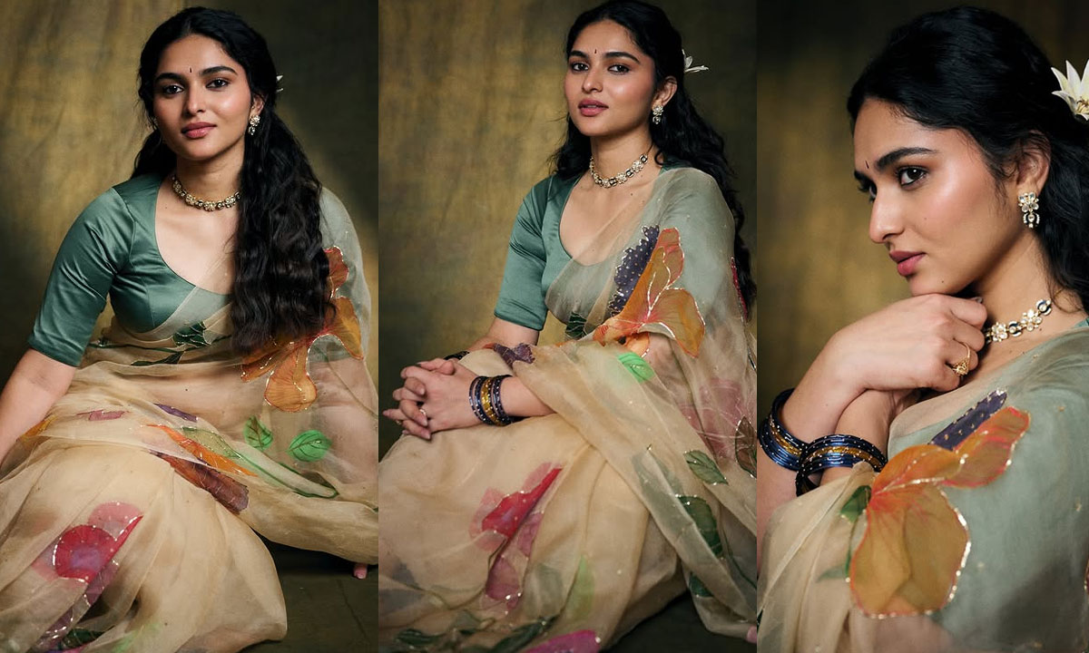 Kayadu Lohar's Hand-Painted Saree Look Goes Viral As Multi-Language Career Soars