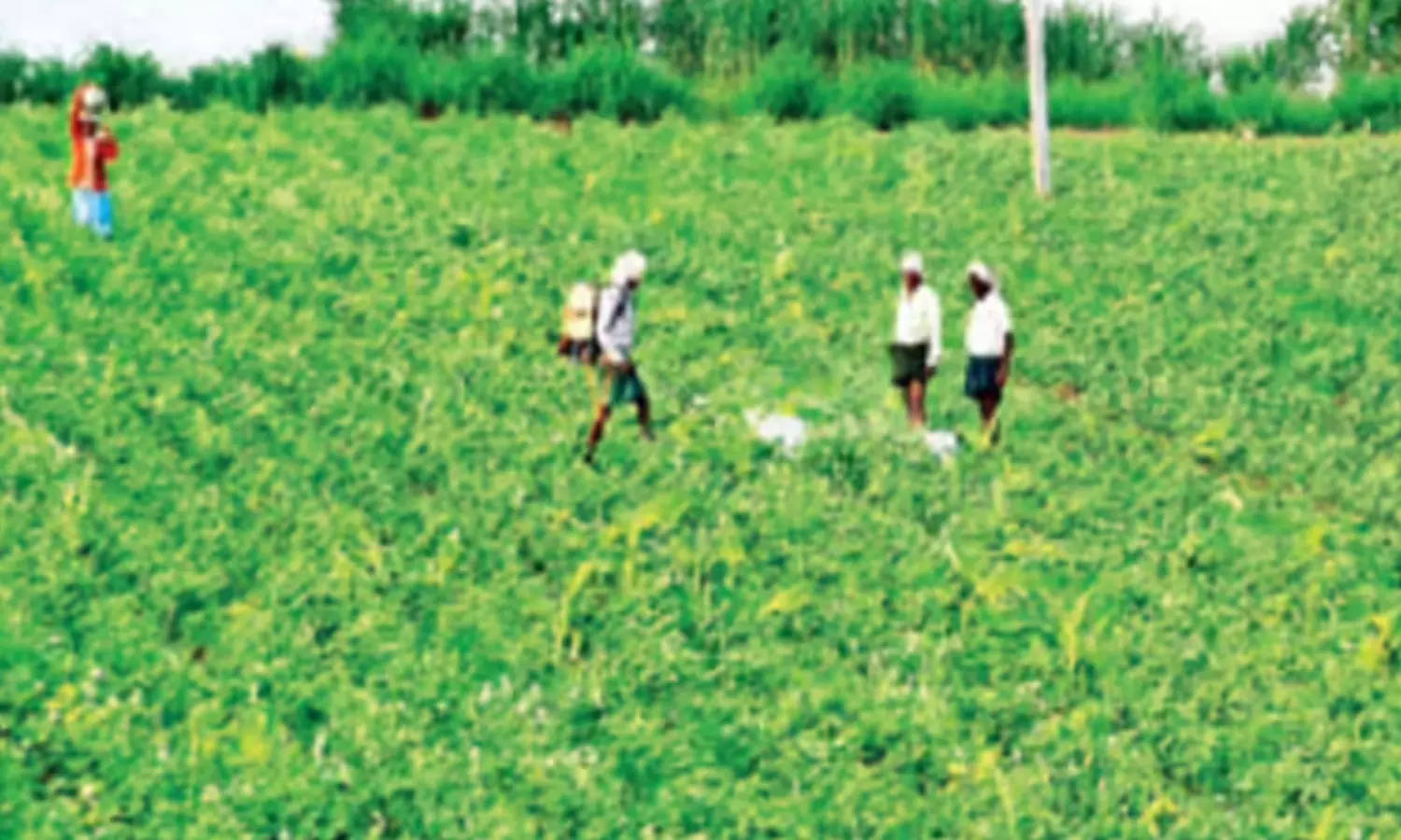 తెలంగాణ రాష్ట్రంలో ఏడు కులాల చేతుల్లో సగానికి పైగా భూమి..