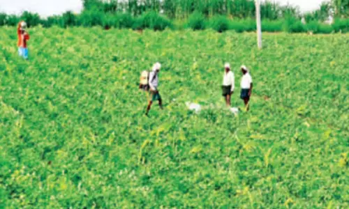 తెలంగాణ రాష్ట్రంలో ఏడు కులాల చేతుల్లో సగానికి పైగా భూమి..