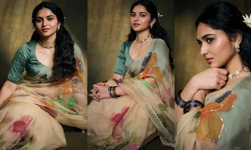 పెయింటింగ్ చీరలో కాయాదు స్టన్నింగ్ లుక్స్