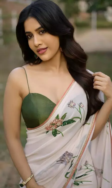 Nabha Natesh’s Ethereal Saree Look