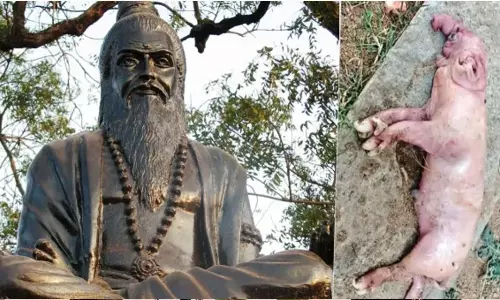 పంది కడుపున ఏనుగు పిల్ల! బ్రహ్మం గారి మాటలు నిజమవుతున్నాయా?