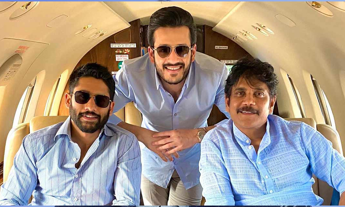అక్కినేని ట్రియో సంక్రాంతి చాలెంజ్: బంగార్రాజు మాజిక్ వర్కవుతుందా?