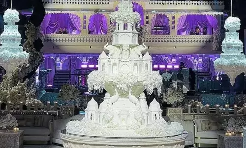 రాజస్థానీ స్టైల్ కేక్.. తయారీకి 3,500 గంటలు.. ఖరీదు తెలిస్తే షాక్!