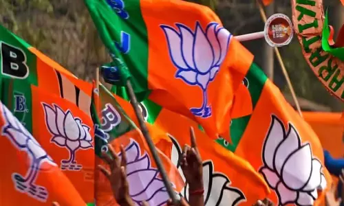 బీజేపీ కొత్త ఫార్ములా...ఏపీ నేతలకు షాకేనా ?