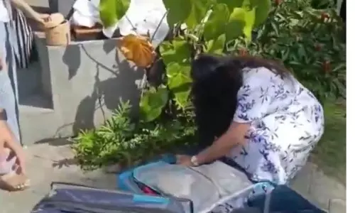 రిసార్ట్‌లో దొంగతనం.. లగేజీలో దొరికిన వస్తువులు.. ఇదేమి కక్కుర్తి సామీ!