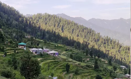 అడవిని కాపాడే నాగదేవత.. ఆసక్తికర విషయం