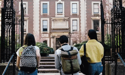 ఎంఎస్ అబ్బాయిలూ జాగ్రత్త! ఒక్క పొరపాటు.. జీవితాంతం వీసా వేటు