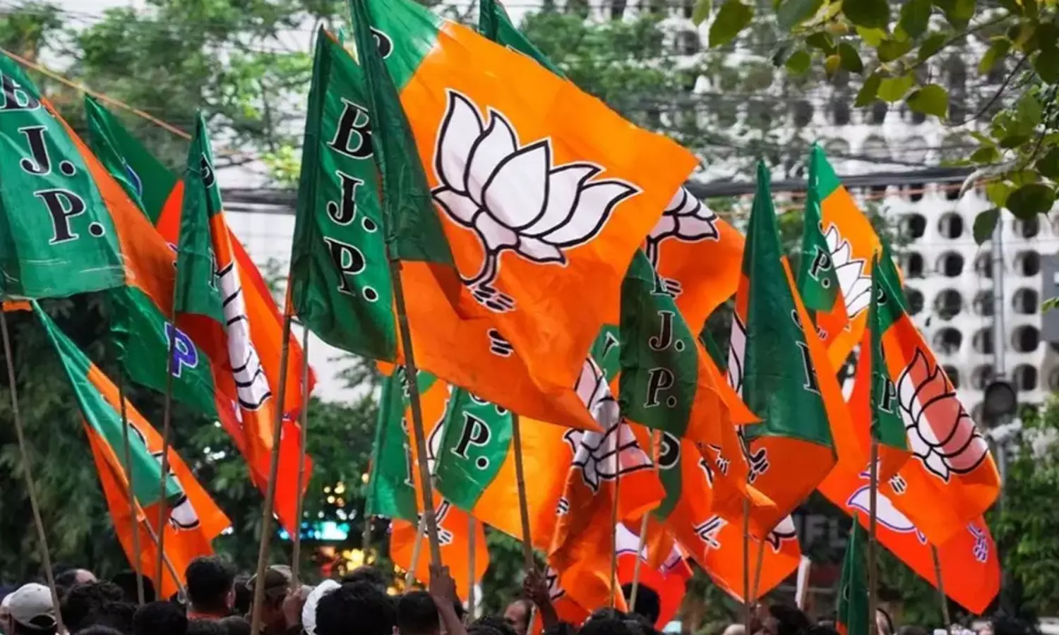 రాజ్యసభలో బీజేపీ విశ్వరూపం... అలెర్ట్ కావాల్సిందే ?