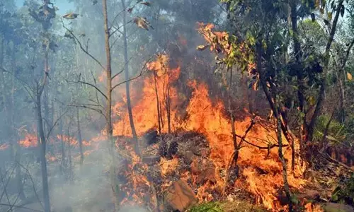 శేషాచలం అడవుల్లో కార్చిచ్చు.. రెండు కిలోమీటర్ల మేర దహనమైన అటవీ సంపద.. కారణం ఎవరు..?