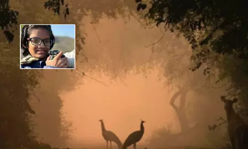 సరదా వాక్.. 9 ఏళ్ల చిన్నారికి ఏకంగా ఆస్కార్.. అసలు నిజం తెలిస్తే ట్రై చేస్తారండోయ్!