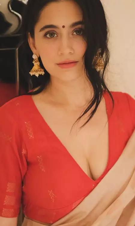 Sanjeeda Shaikh Turns Heads in Graceful Saree Look