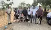 ట్రక్ లో తీసుకొచ్చి హస్కీలను రోడ్ల మీద వదిలేశారా? ఎందుకు?