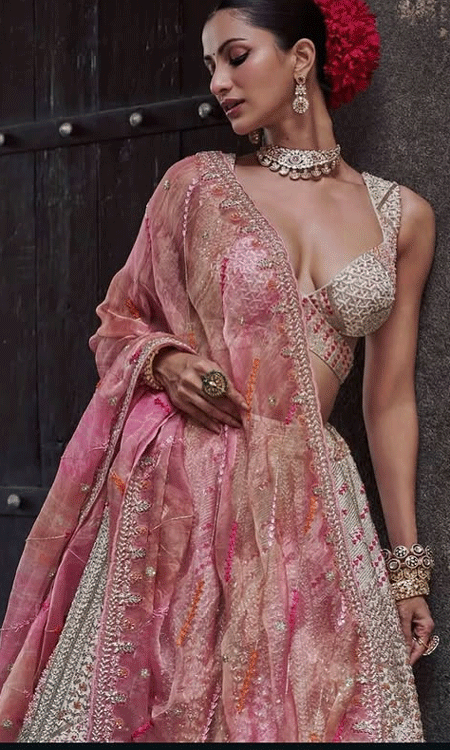 Diksha Singh Glows in Timeless Traditional Elegance
