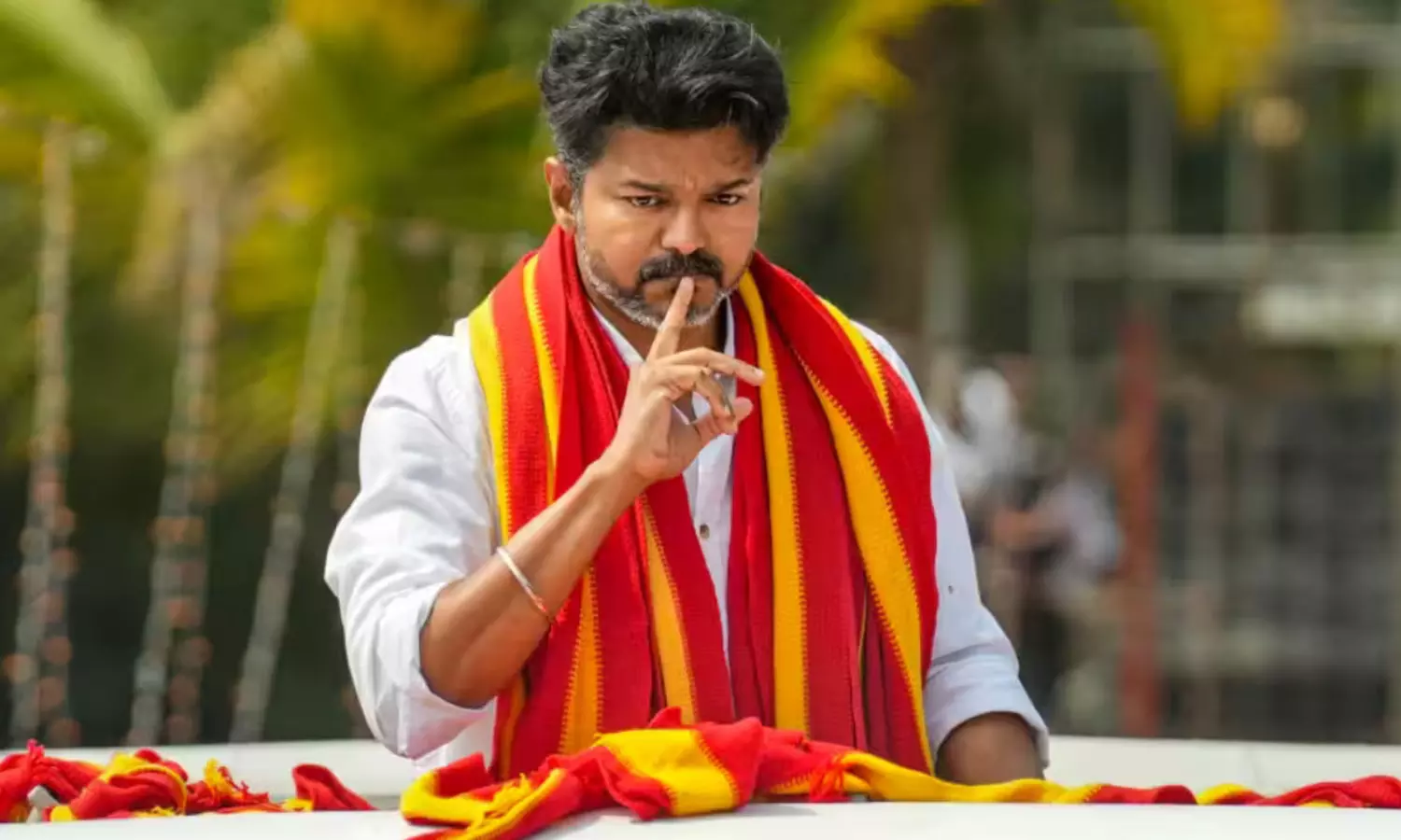 విజయ్ టీవీకే... ఏపీలోనూ ప్రకంపనలు