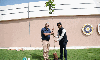 Big Question: How Many Trees BCCI Planted Due to IPL?