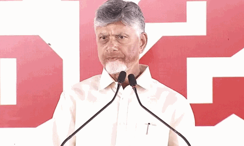 మమత ఓడిన చోటుకు...బీజేపీ అతిధిగా బాబు