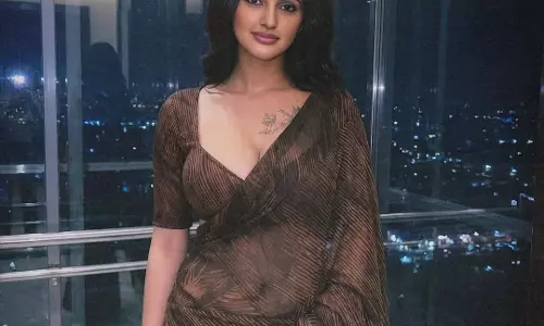 Jyoti Poorvaj Dazzles in Brown Saree