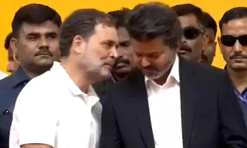 Did India Block Vijay-Rahul Instagram Reel?