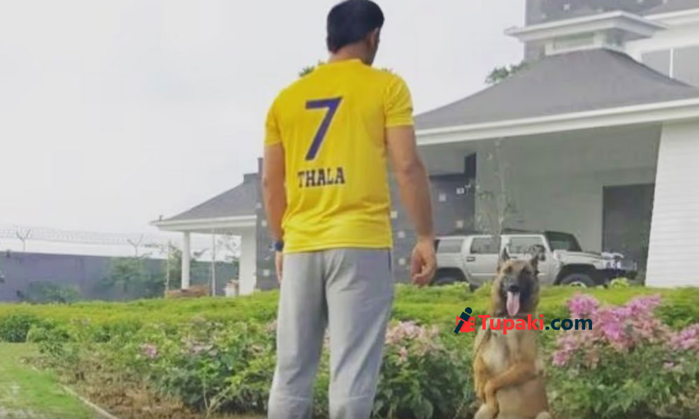 ఇల్లు కాదు అగ్రి పవర్ హబ్!.. ధోనీ గ్లాస్ హౌస్ సీక్రెట్ ఇవే