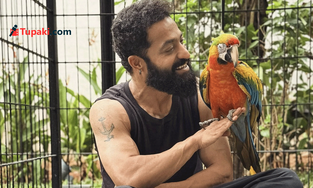 Jr NTR Introduces His Two New Friends on Birthday