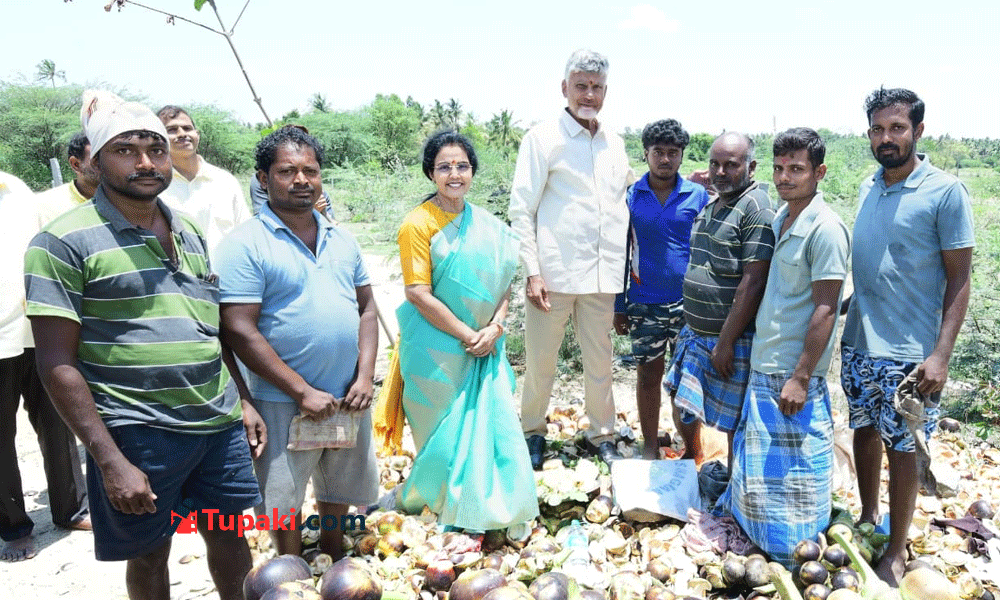 కల్తీ లేదు.. కార్బైడ్ లేదు.. తాటి ముంజల రుచి చూసిన సీఎం దంపతులు